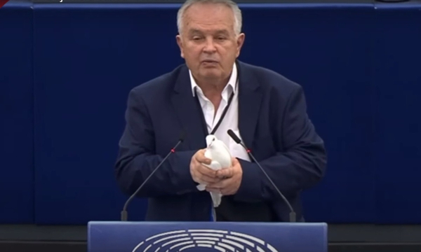 Ένα περιστέρι πέταξε μέσα στο Ευρωκοινοβούλιο (βίντεο)