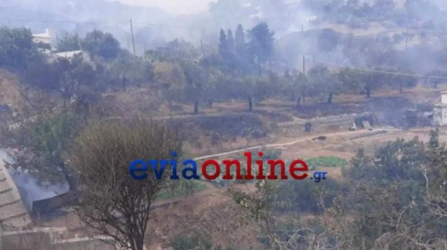 Κάρυστος: Μαίνεται το πύρινο μέτωπο - Ανεξέλεγκτες φλόγες γύρω από τα χωριά