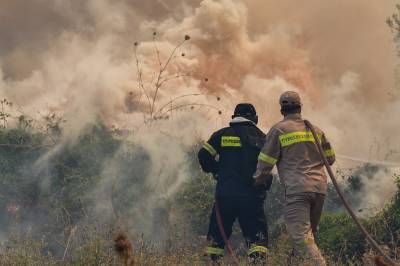 Πύρινη κόλαση η φωτιά στην Ηλεία: Ολονύχτια μάχη - Απειλούνται οικισμοί