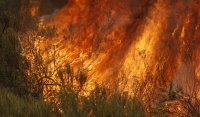 Νέα φωτιά τώρα σε δασική έκταση στη Χαλκιδική