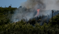 Κύπρος: Φωτιά στο χωριό Πάχνα – Εκκενώνονται σπίτια