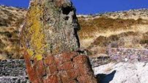 Μοναδική ανακάλυψη στη Λήμνο: Βρέθηκε γιγαντιαίος απολιθωμένος κορμός 20 εκατομμυρίων ετών