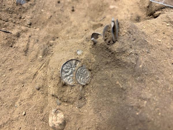 Δανία: Ανακαλύφθηκαν σπάνια νομίσματα από την εποχή των Βίκινγκ (εικόνες)