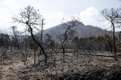 Φωτιά στην Κορινθία: 71.285 στρέμματα έγιναν στάχτη σε τρεις ημέρες