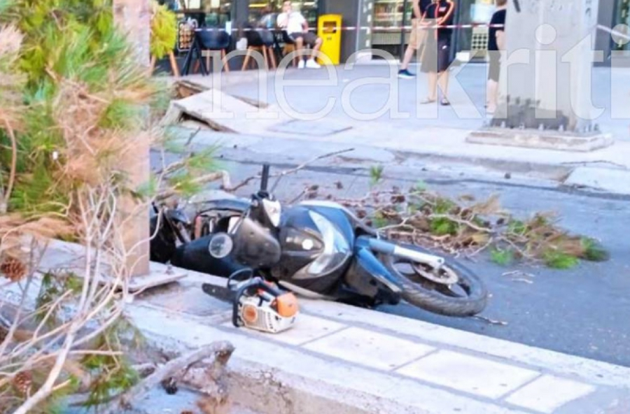 Κρήτη: Βίντεο ντοκουμέντο με τη στιγμή της πτώσης δέντρου που σκότωσε τον 51χρονο