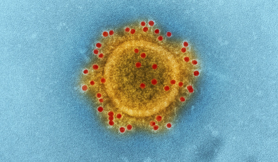 Γρίπη της ντομάτας: Ο μεταδοτικός ιός που απειλεί τα παιδιά - Τα συμπτώματα