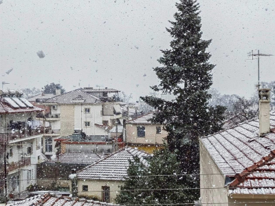 Έπεσαν τα πρώτα χιόνια στην Τρίπολη (Εικόνες - βίντεο)