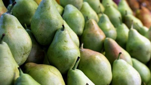ΟΠΕΚΕΠΕ: Πληρώθηκε η ενίσχυση de minimis για τα αχλάδια «Κρυστάλλια» ύψους 1,2 εκατ. ευρώ
