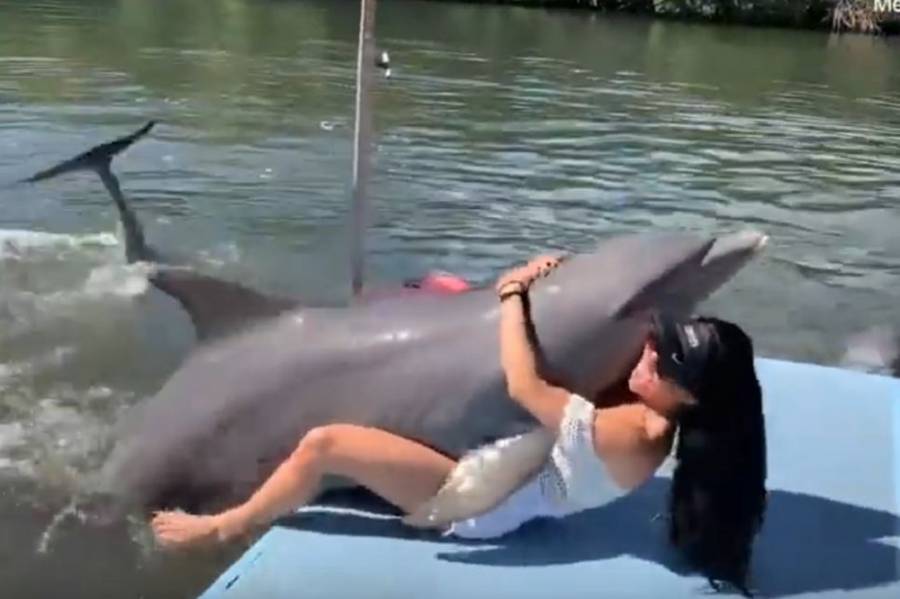 Ασυγκράτητο δελφίνι θέλει να δώσει σε γυναίκα περισσότερα από μια αγκαλιά