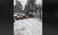 «Ζηνοβία»: Έπεσαν τα πρώτα χιόνια στην Πάρνηθα (video)
