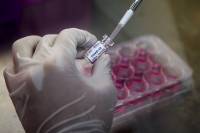 ΕΚΠΑ για κορονοϊό: Δύσκολη η πρόβλεψη για το εμβόλιο