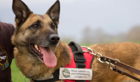 Ο πρώτος σκύλος ανιχνευτής δηλητηριασμένων δολωμάτων έγινε συνταξιούχος