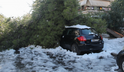 Δήμος Βριλησσίων: Αποζημιώσεις για ζημιές οχημάτων λόγω πτώσης δέντρων