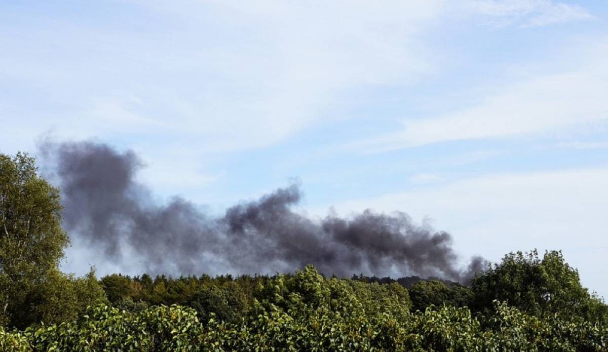 Εύβοια: Φωτιά σε δασική έκταση