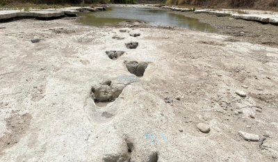 ΗΠΑ: Η ξηρασία έφερε στο φως ίχνη δεινοσαύρων σε κοίτη ποταμού (Βίντεο)