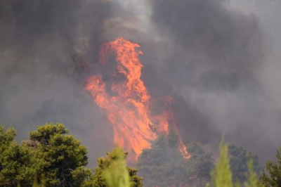 Φωτιά στη Σταμάτα: «Γλείφουν τα σπίτια οι φλόγες» - Μήνυμα 112 και εκκένωση οικισμού