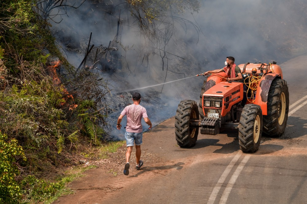 Ανεξέλεγκτες φωτιές με νέα μέτωπα: Κόλαση στην Νεμούτα Ηλείας - Δύσκολες ώρες στην Ιστιαία