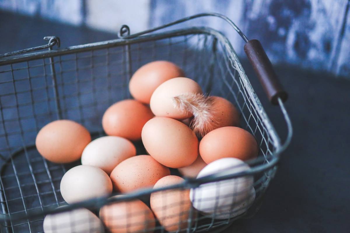 ΕΦΕΤ: Τι πρέπει να προσέχετε όταν αγοράζετε αυγά