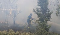 Κάρπαθος: Συνεχίζεται η προσπάθεια για την κατάσβεση της πυρκαγιάς