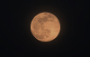 Ροζ Υπερπανσέληνος: Μαγικές εικόνες από το φεγγάρι του Απριλίου