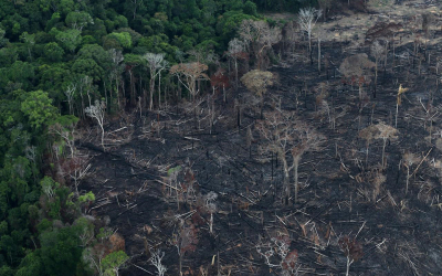 Βραζιλία: Η αποψίλωση του δάσους του Αμαζονίου έσπασε ρεκόρ το πρώτο τρίμηνο του 2022