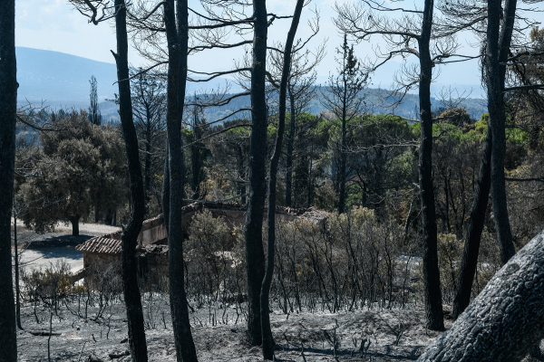 Λέκκας: Κάηκαν 500.000 στρέμματα – Εφιαλτικός θα είναι ο Αύγουστος