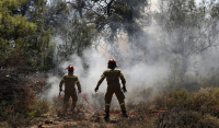 Μάχη με τις φλόγες στη Δαδιά Έβρου: 1,5 χιλιόμετρο το μέτωπο - 102 πυροσβέστες στο σημείο