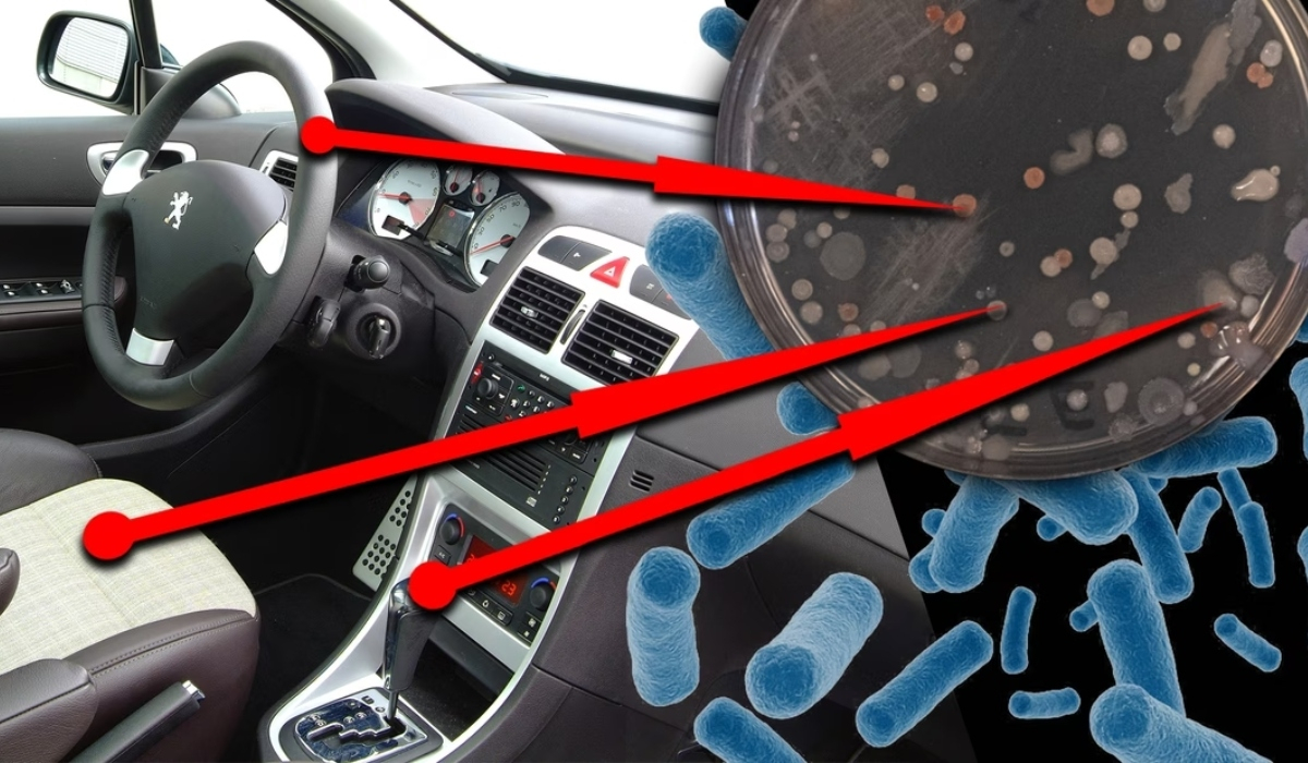 Τα 6 σημεία στο εσωτερικό ενός αυτοκινήτου όπου μαζεύονται τα περισσότερα μικρόβια