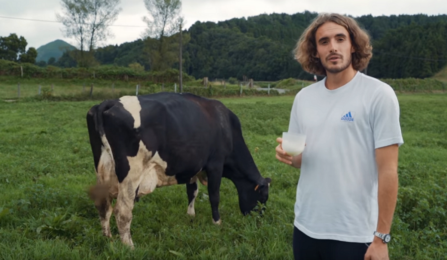 Ο Στέφανος Τσιτσιπάς άρμεξε αγελάδα και ήπιε το γάλα της