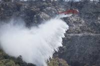 Φωτιά τώρα: Πυρκαγιά σε δασική έκταση στη Λακωνία
