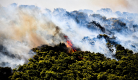 Φωτιά στη Μεσσηνία: «Μας άφησαν να καούμε, είμαστε στο έλεος!» - Τι καταγγέλλει η δήμαρχος