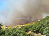 Φωτιά στη Νάξο: Ενισχύθηκαν οι δυνάμεις από Αθήνα, Σύρο και Πάρο - Διακοπές ρεύματος στο νησί