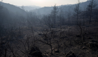 Φωτιές: 11 ημέρες μάχης με την πύρινη λαίλαπα - 5 νεκροί και χιλιάδες καμένα στρέμματα γης
