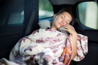 Ονειροκρίτης για όσους oδηγούν αυτοκίνητο στον ύπνο τους