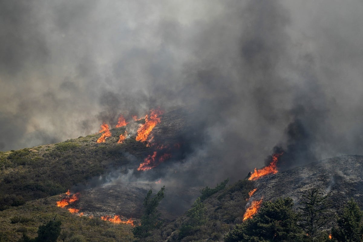 Φωτιές: Δεν υπάρχει ενεργό μέτωπο σε Ρόδο, Κέρκυρα και Μαγνησία