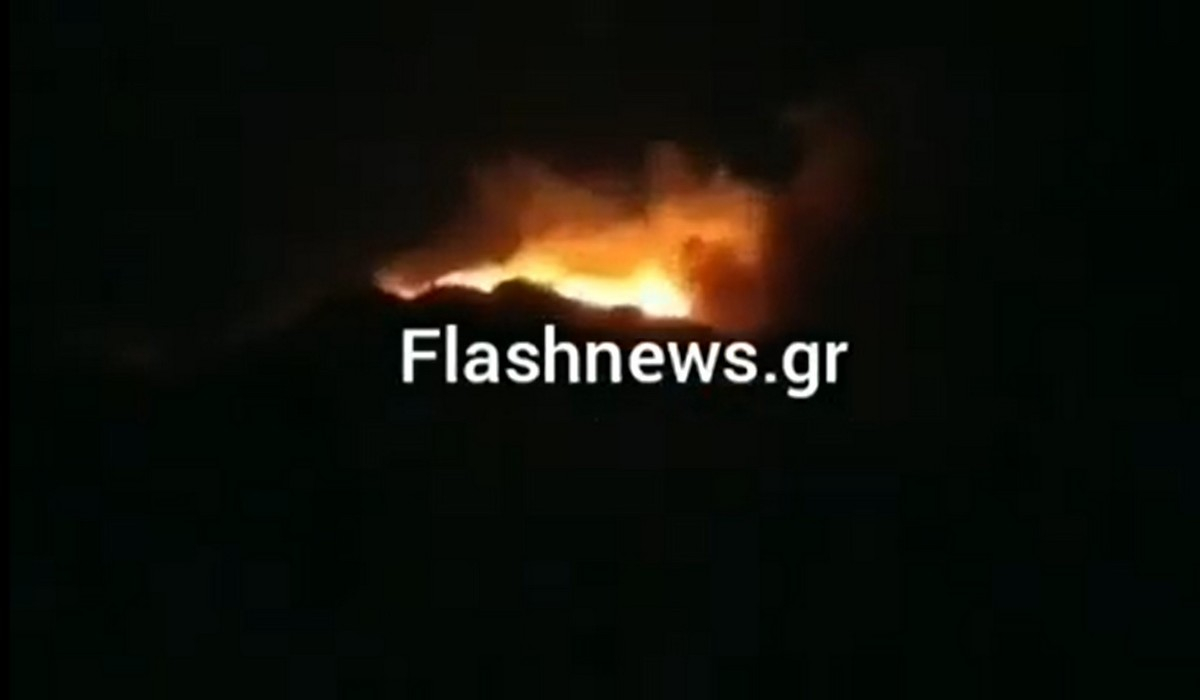 Φωτιά τώρα στα Χανιά (Βίντεο)