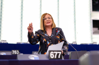 Μαρία Σπυράκη: «Θα ζητήσω την αναστολή της κομματικής μου ιδιότητας»