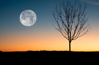 Πανσέληνος Οκτωβρίου 2023: Πότε είναι – Γιατί ονομάζεται το «Φεγγάρι του Κυνηγού»