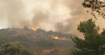 Φωτιά στη Λέσβο: Μαίνεται η πυρκαγιά με αναζωπυρώσεις - Κάηκαν σπίτια (Βίντεο)
