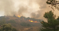 Φωτιά στη Λέσβο: Μαίνεται η πυρκαγιά με αναζωπυρώσεις - Κάηκαν σπίτια (Βίντεο)