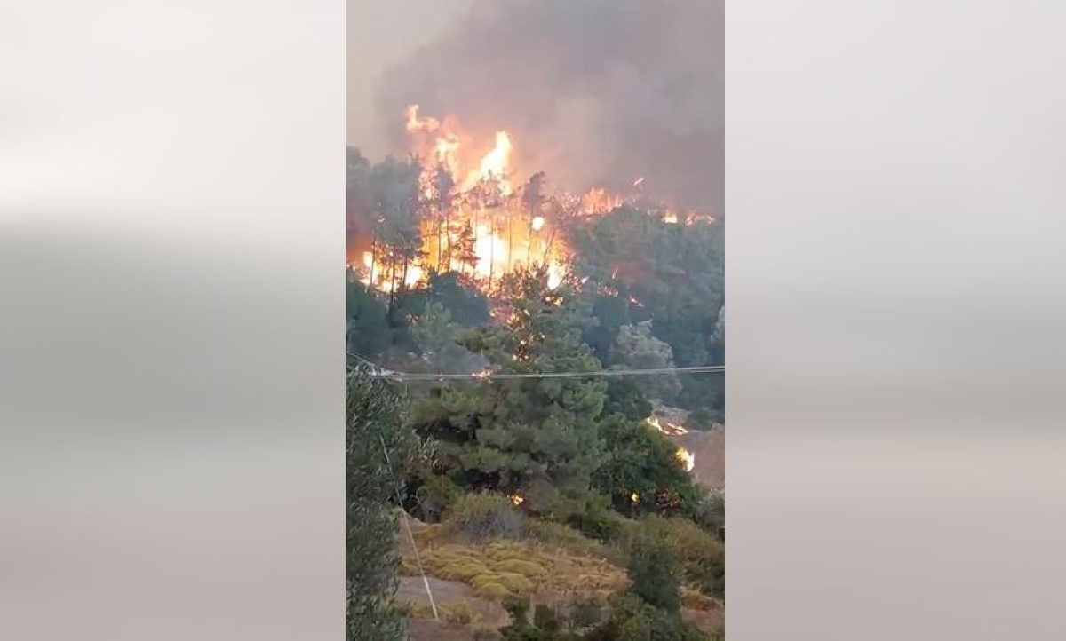 Φωτιά στη Ρόδο: Ανεξέλεγκτο το μέτωπο - Επιχειρούν 103 πυροσβέστες