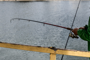 Τι αλλάζει στο ψάρεμα, ποια δολώματα απαγορεύονται