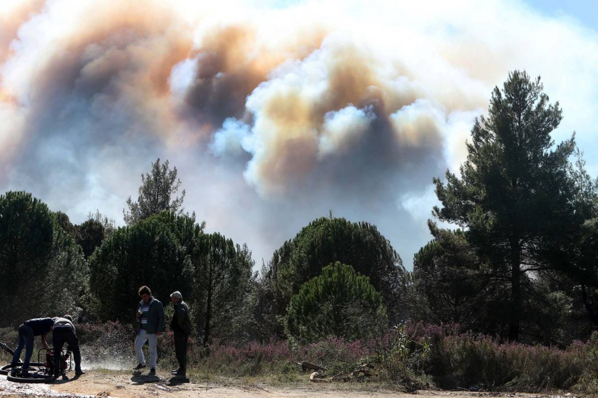Φωτιά στην Σιθωνία: Ολονύκτια αναμένεται η μάχη με τις φλόγες