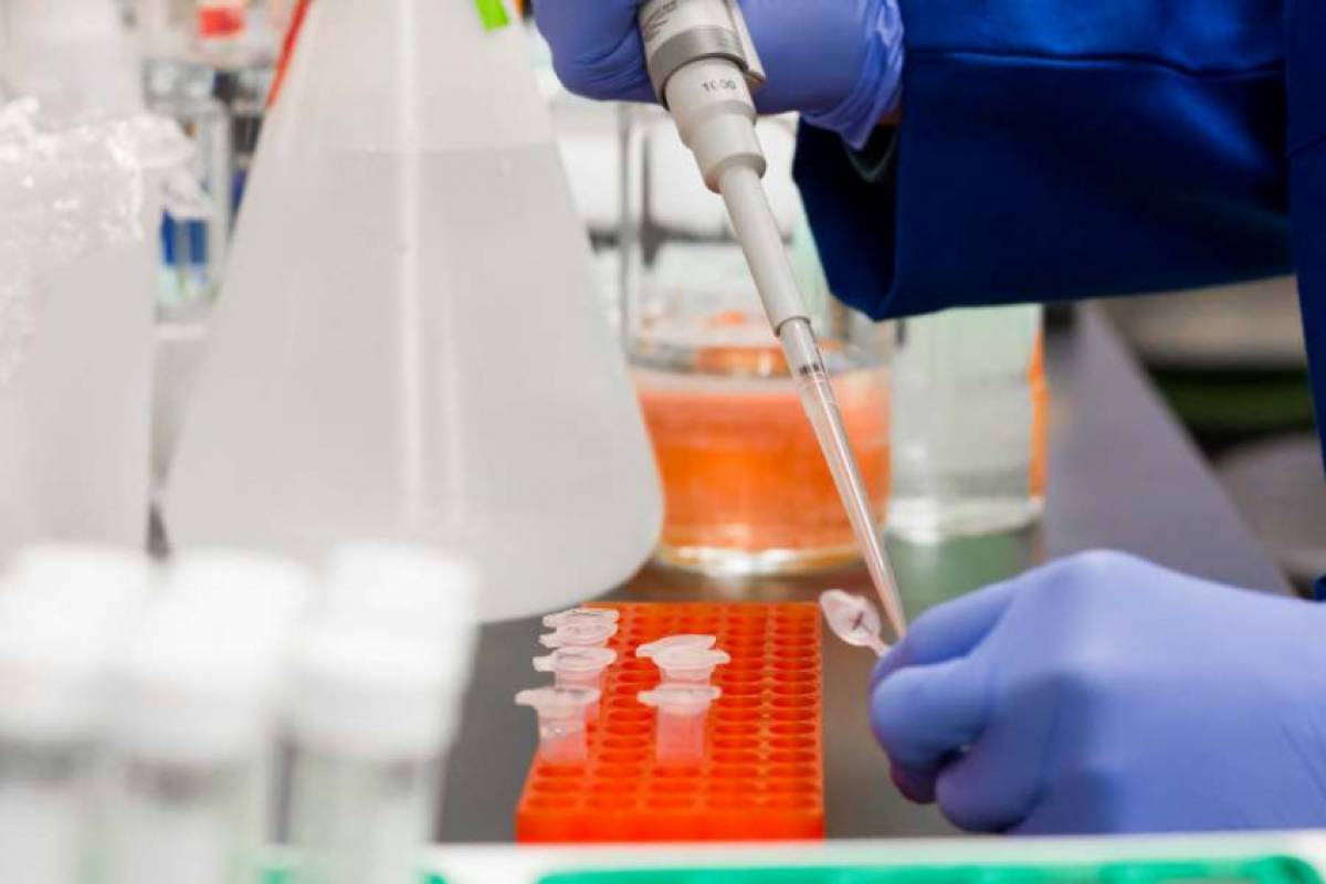 ΠΟΥ: Βάζει τέλος σε δοκιμές με υδροξυχλωροκίνη για αντιμετώπιση του κορονοϊού