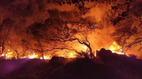 Πύρινος εφιάλτης στη Ρόδο: Εκκενώθηκαν οικισμοί, κάηκαν σπίτια στα Λάερμα (εικόνες – βίντεο)