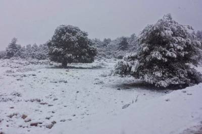 Κρήτη: Κλειστά τα σχολεία στο Οροπέδιο Λασιθίου λόγω χιονόπτωσης