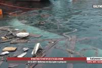 Κάλυμνος: Βυθίστηκε φορτηγό πλοίο