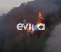 Εύβοια: Φωτιά τώρα στην Κάρυστο
