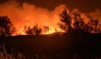 Μεγάλη δασική φωτιά στην Αλεξανδρούπολη - Απειλούνται οικισμοί