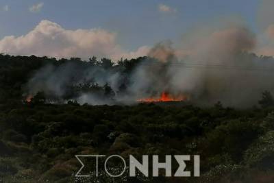 Λέσβος: «Φωτιά από χειροβομβίδες κρότου-λάμψης και δακρυγόνα που έριξαν τα ΜΑΤ»